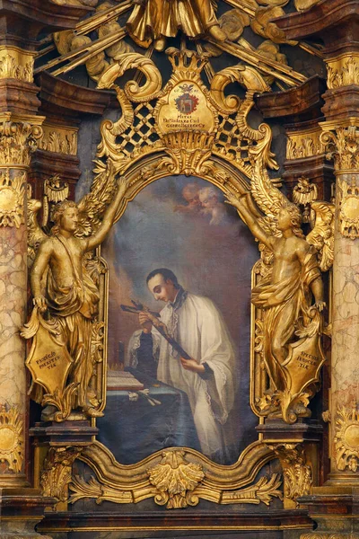 Der Heilige Aloysius Gonzaga Altar Der Franziskanerkirche Des Heiligen Franz — Stockfoto