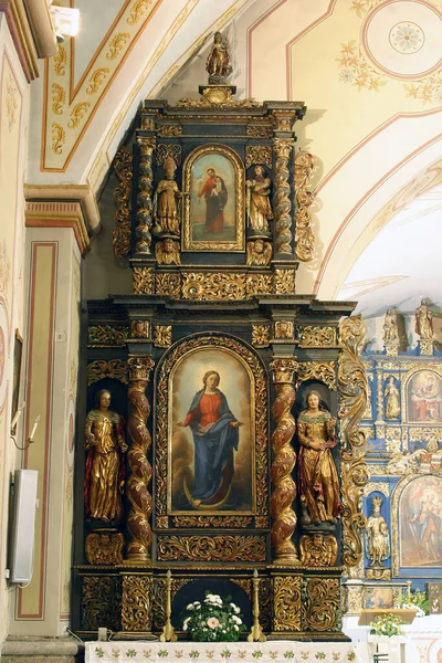 Het Altaar Van Onbevlekte Ontvangenis Van Maagd Maria Kerk Van — Stockfoto