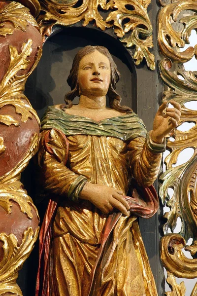 Santa Catalina Alejandría Estatua Altar Inmaculada Concepción Virgen María Iglesia —  Fotos de Stock