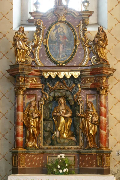 Ołtarz Marii Magdaleny Kościele Barbary Vgwałcie Zagrzeb Chorwacja — Zdjęcie stockowe