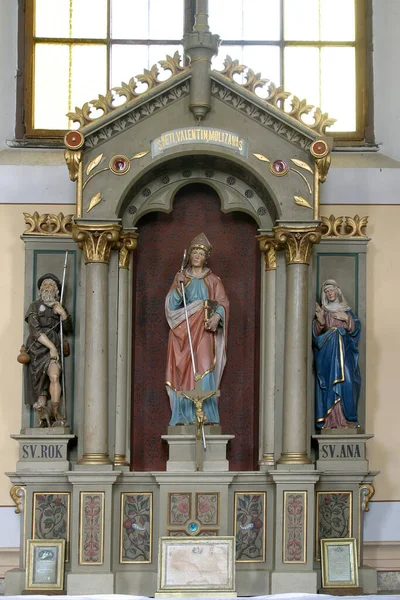 Altar São Valentim Igreja Paroquial Santo Nome Maria Kamanje Croácia — Fotografia de Stock