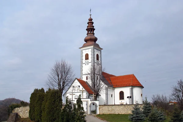 Church Visitation Virgin Mary Donja Visnjica Horvátország — Stock Fotó