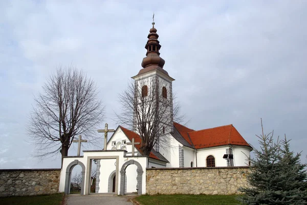 Igreja Visitação Virgem Maria Donja Visnjica Croácia — Fotografia de Stock