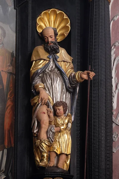 San Rocco Statua Sull Altare San Dionigi Nella Chiesa Santa — Foto Stock