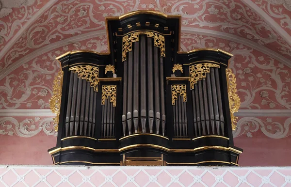 克罗地亚萨格勒布亚历山大图书馆圣凯瑟琳教堂的管风琴 — 图库照片