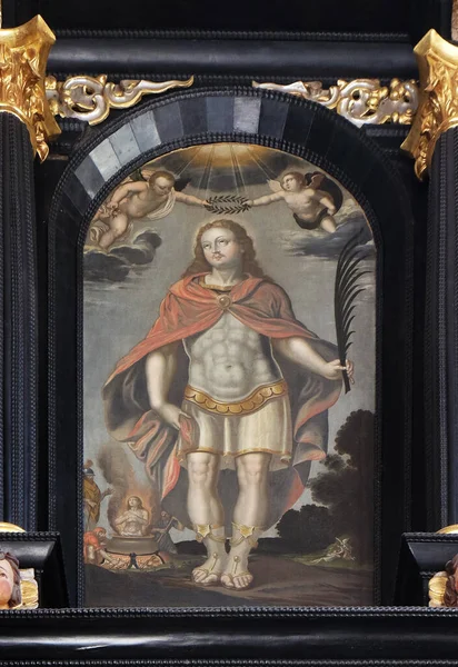 Saint Vitus Алтарь Святого Дионисия Церкви Святой Екатерины Александрийской Загребе — стоковое фото