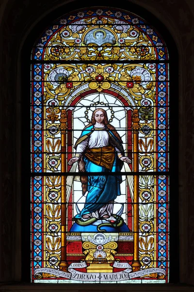 Virgin Mary Stained Glass Window Church Saint Catherine Alexandria Zagreb — Stock Photo, Image