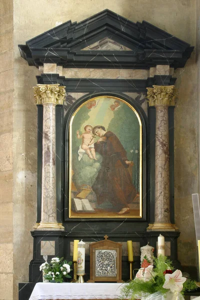 Święty Antoni Padwy Kościół Wniebowzięcia Najświętszej Marii Panny Remete Zagrzeb — Zdjęcie stockowe