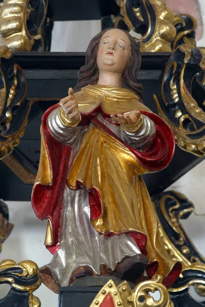 Vierge Marie Statue Sur Chaire Église Sainte Catherine Alexandrie Zagreb — Photo