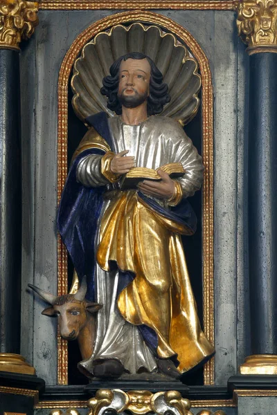 Saint Luc Evangéliste Statue Sur Chaire Église Sainte Catherine Alexandrie — Photo