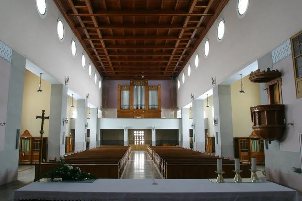 Nın Kutsal Kalbi Kilisesi Zagreb Hırvatistan Salata — Stok fotoğraf