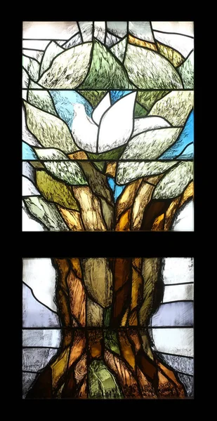 Noah Dove Hope Stained Glass Window Sieger Koder Chapel Oberstaufen — Stock Photo, Image