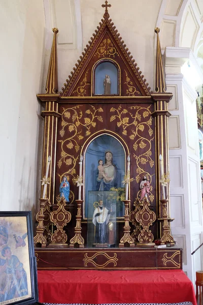 Autel Notre Dame Église Catholique Blaise Gandaulim Goa Inde — Photo