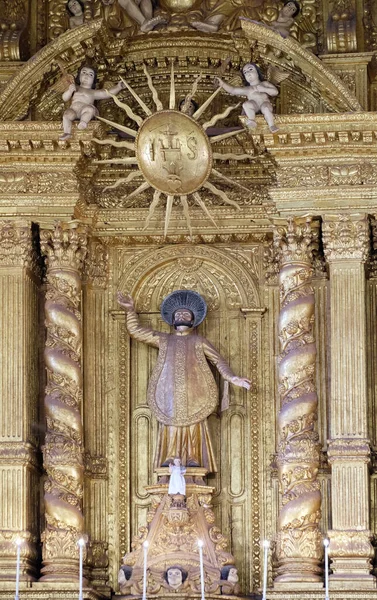 Estátua São Francisco Xavier Altar Mor Basílica Bom Jesus Velha — Fotografia de Stock