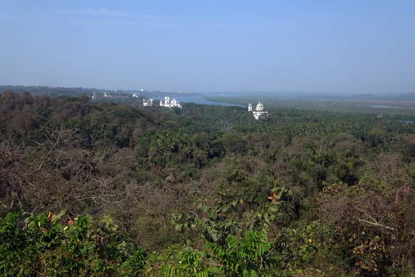 Antiguo Goa Largo Del Río Mandovi Con Catedral Frente Iglesia — Foto de Stock