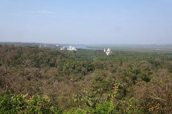 Antiguo Goa Largo Del Río Mandovi Con Catedral Frente Iglesia — Foto de Stock