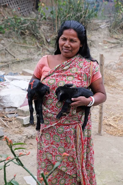 Femme Campagne Avec Deux Jeunes Chèvres Dans Une Ferme Kumrokhali — Photo