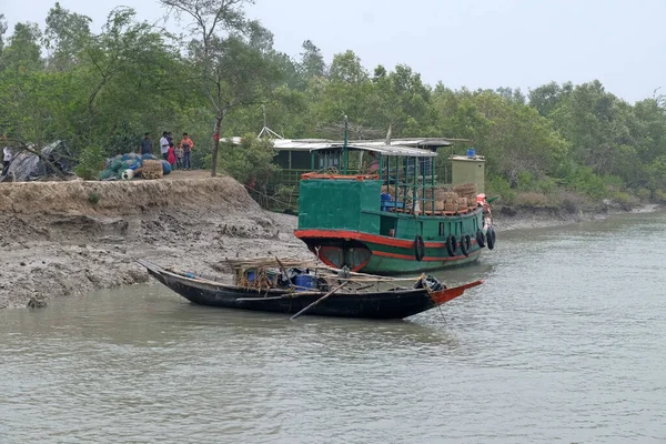 Barco Remo Nas Áreas Pantanosas Dos Sundarbans Património Mundial Unesco — Fotografia de Stock