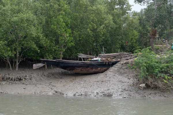 Barca Sulle Rive Del Fango Foresta Mangrovie Sundarbans Delta Del — Foto Stock