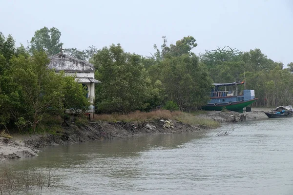 Łódź Błocie Las Namorzynowy Sundarbans Delta Gangesu Zachodni Bengal Indie — Zdjęcie stockowe