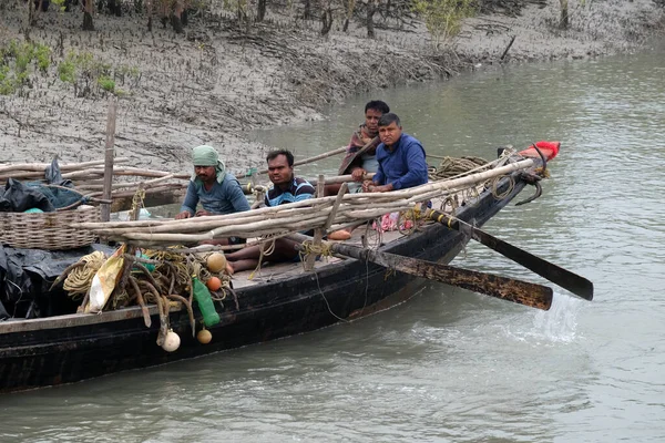 Ruderboot Den Sumpfigen Gebieten Der Sundarbans Unesco Weltkulturerbe Indien — Stockfoto