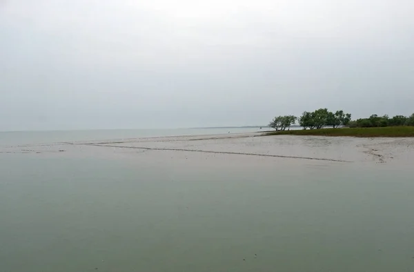Delta Del Gange Sundarbans Bengala Occidentale India — Foto Stock