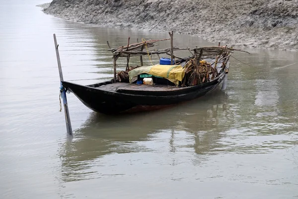 Sundarbans Bataklık Bölgelerinde Unesco Dünya Mirası Bölgesi Hindistan — Stok fotoğraf