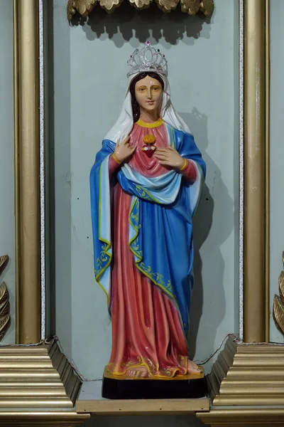 Άμωμη Καρδιά Της Μαρίας Ένα Άγαλμα Στον Καθολικό Καθεδρικό Ναό — Φωτογραφία Αρχείου