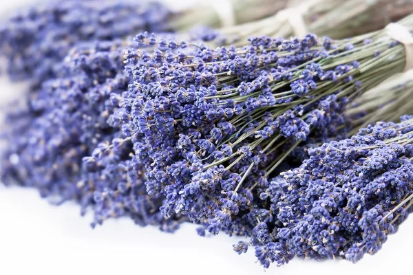 Fresh lavender handmade bunches on white — Stock Photo, Image