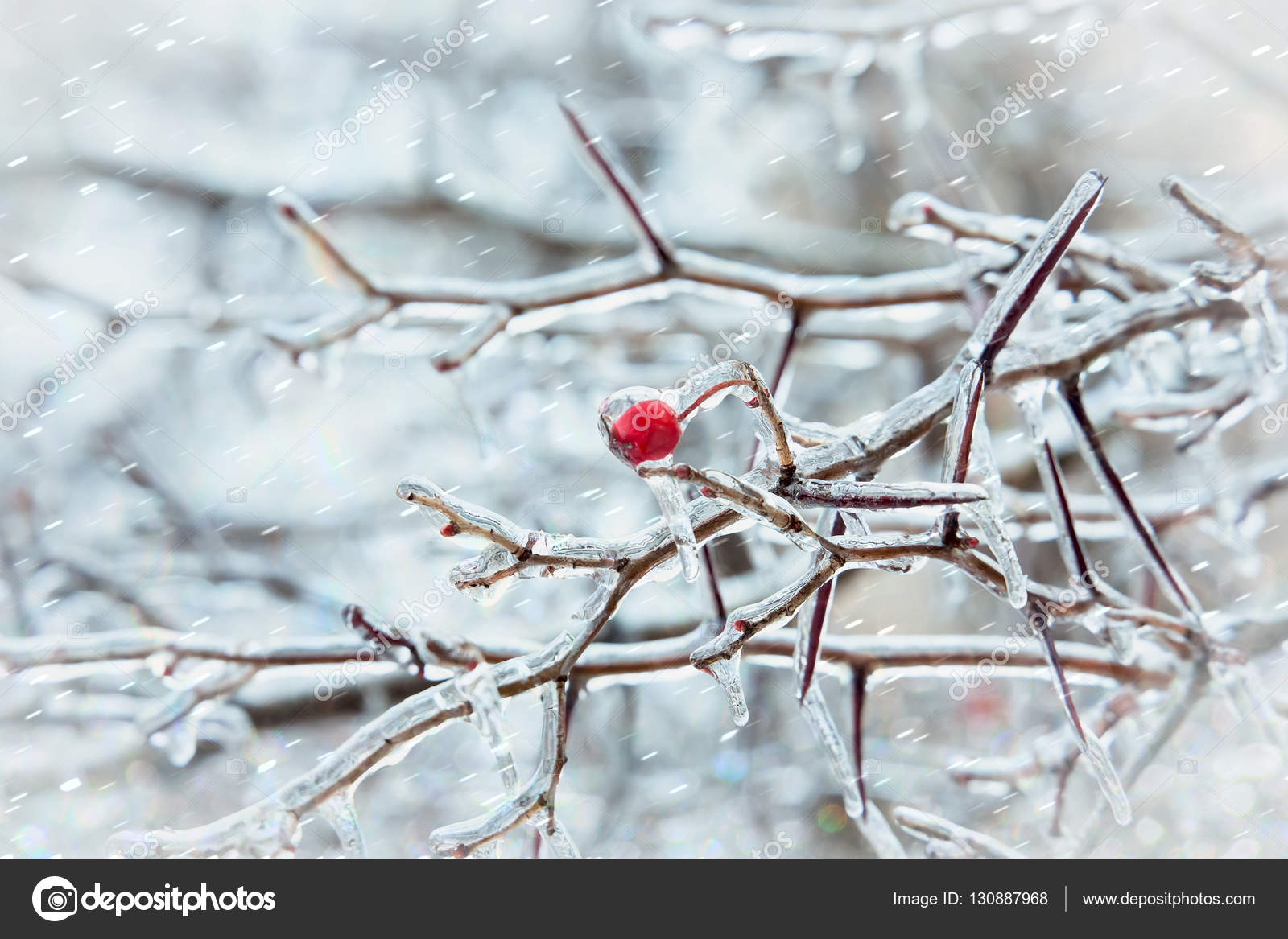 of an icicle (tree branches and background fencing for scale): :  r/AbsoluteUnits, image size:1600x1167