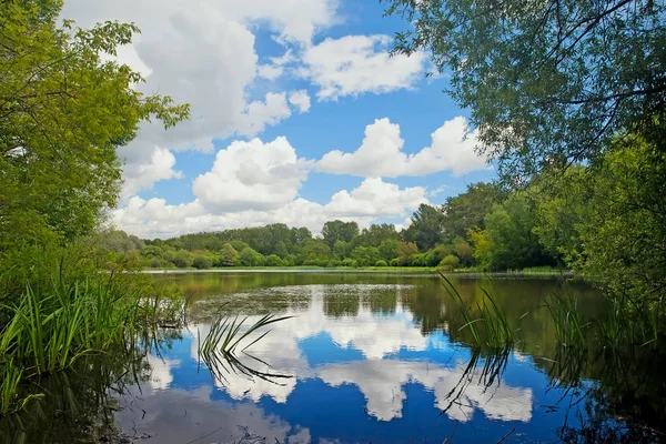 Lagoa com as nuvens refletidas na floresta. Paisagem verão — Fotografia de Stock