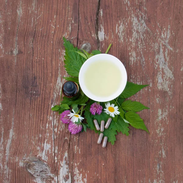 Nalewki z ziół, herbaty ziołowe i ziołowe kapsułki z roślin leczniczych. — Zdjęcie stockowe