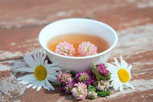 Chá de ervas de fábricas curativas. Medicina herbal — Fotografia de Stock