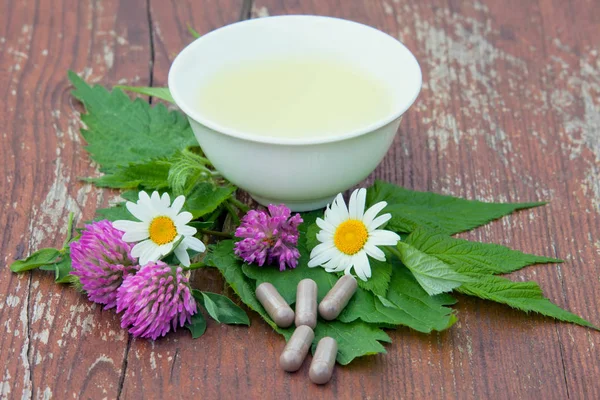 Thé aux herbes et capsules d'herbes à partir de plantes curatives . — Photo