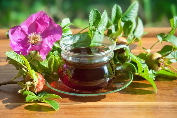 Healthy tea of dogrose berries. Herbal medicine. — Stock Photo, Image