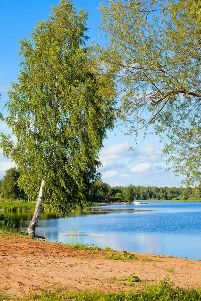 Yaz Rusya Manzara Ile Volga Nehri Yakınında Bir Huş — Stok fotoğraf