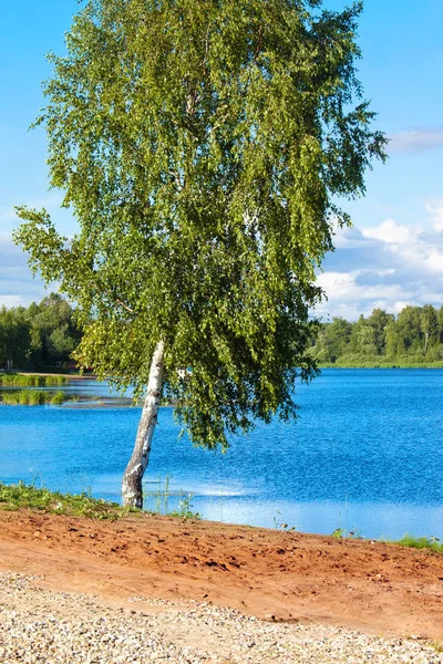 在伏尔加河附近有一座桦树的俄罗斯夏季景观 — 图库照片