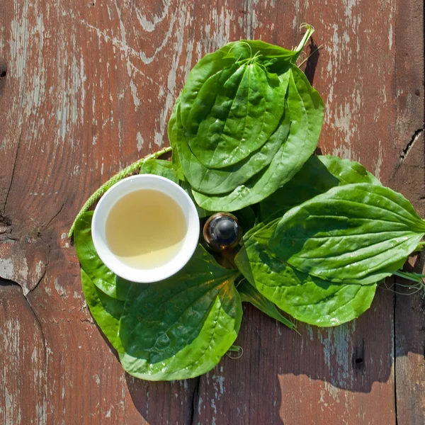 Βότανα τσάι και βάμμα από φύλλα του Πλαντάγου στο ξύλινο τραπέζι. — Φωτογραφία Αρχείου
