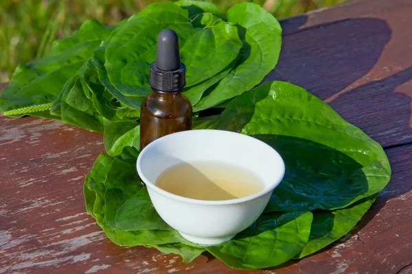 Kruiden thee en tinctuur uit bladeren van weegbree op houten tafel. — Stockfoto