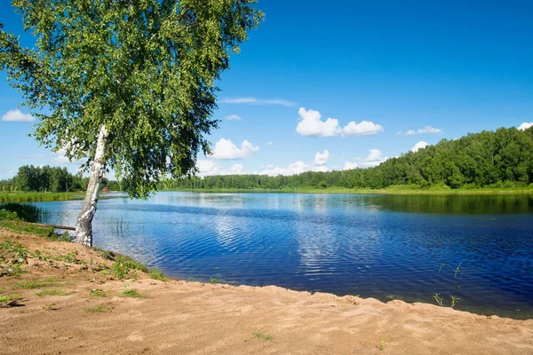 Russische Sommerlandschaft mit Birke in der Nähe der Wolga. — Stockfoto