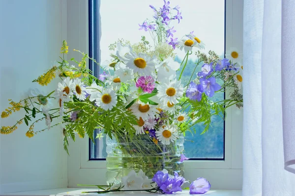 Boeket van zomer wilde bloemen in zonlicht — Stockfoto