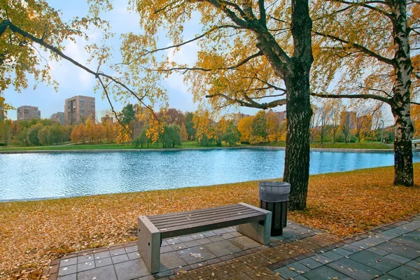 ベンチ、バーチの木ブルーと都市公園の秋景色 — ストック写真