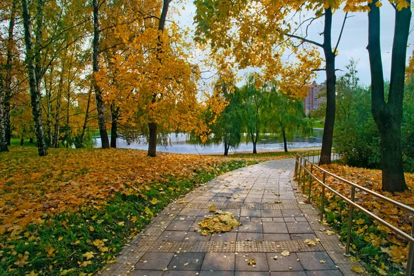 Podzimní krajina v městském parku s maple listy na pěší cestu — Stock fotografie