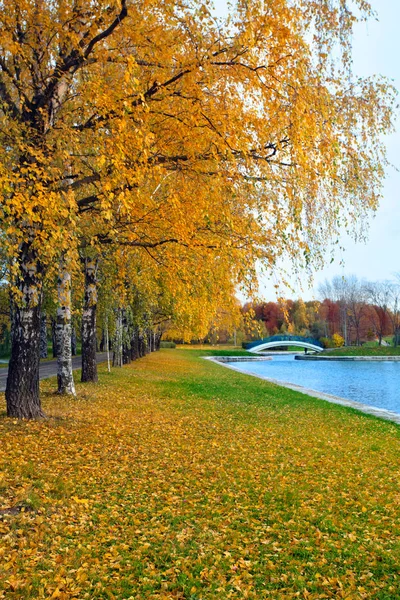 Altın ağaçları ile şehir parkı ve gölet br ile sonbahar manzara — Stok fotoğraf