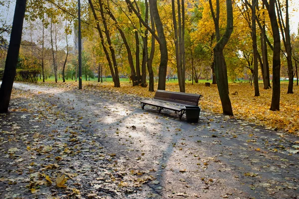 Herbstlandschaft im Stadtpark mit Bank und Fußweg. — Stockfoto