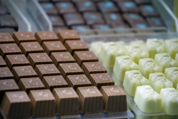 Chocolates feitos à mão de várias formas de coca branca e escura — Fotografia de Stock