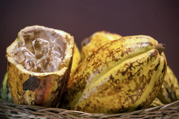 Frutas de cacau, grãos de cacau crus — Fotografia de Stock