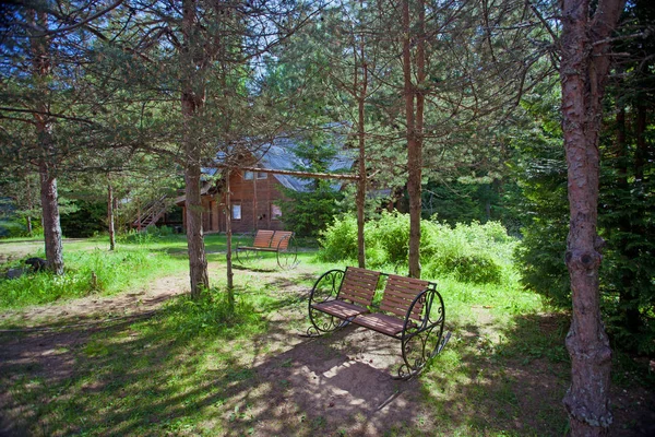 Bancos y casa rural de madera en el bosque de pinos —  Fotos de Stock