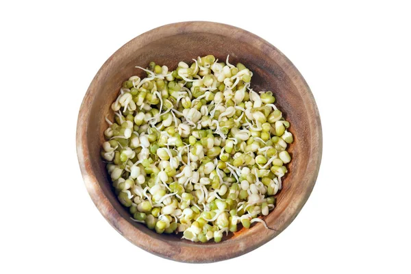 Germinated sprouts of mung beans — Stock Photo, Image