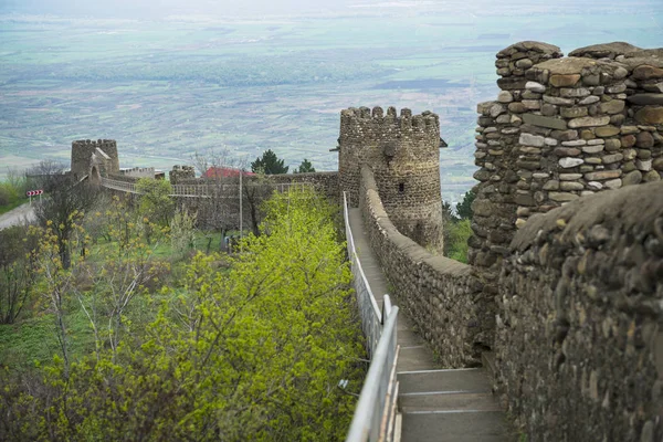 Château Signagi Sighnaghi Grand Mur Construit Début Xviiie Siècle Situé — Photo